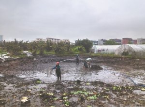 贺州河道鱼塘清淤